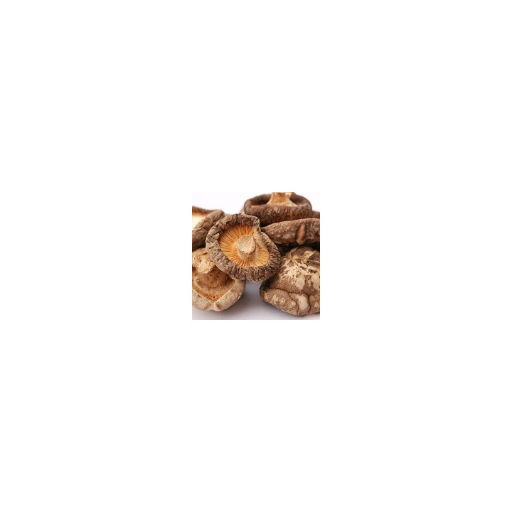 Po-Ku Shiitake Pilze asiatische chinesische Mushrooms König der Pilze 284g Ganz
