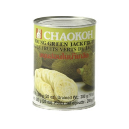 Jackfrucht Scheiben in Wasser 560g/Abtropfgew. 280g Fleischersatz vegetarisch vegan grüne jackbaumfrucht