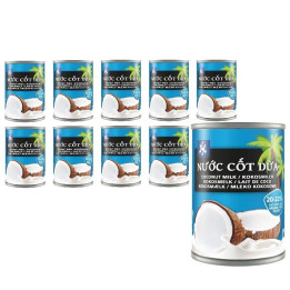 Kokosmilch 400ml Dose 20-22% Fett - cocosmilch Vietnam Cocktails 1A Sahneersatz