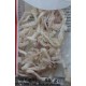 Weißer Tintenfisch Snack 50g getrocknete Muc Kho Cuttlefish Trockenfisch mực khô