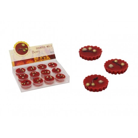 12x Duftwachs a 20g Raumduft sehr intensive vers. QualitätsAromaDüfte Wachs Duft