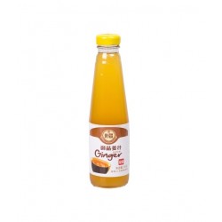 Ingwer Sirup 250ml Ginger syrup für Tee Limonade Ale shoots Konzentrat mit Zucker
