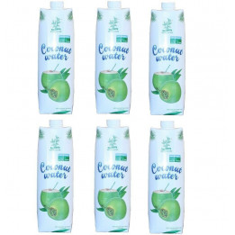 Kokosnusswasser 100% Kokoswasser 100% Natur Kokossaft coconut water vegan cocos