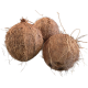 Kokosnuss frisch 1 Stück Coconut fresh