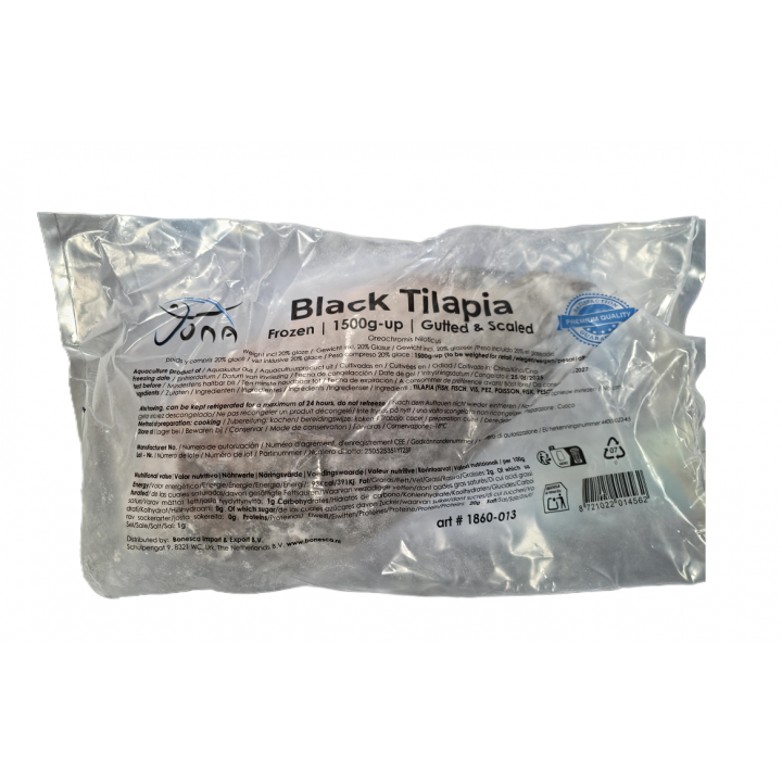 Black Tilapia (Schwarzer Buntbarsch) TIEFKÜHL Ausgenommen&Geschuppt 1,45-1,5kg  Philippinen Ganzer Fisch