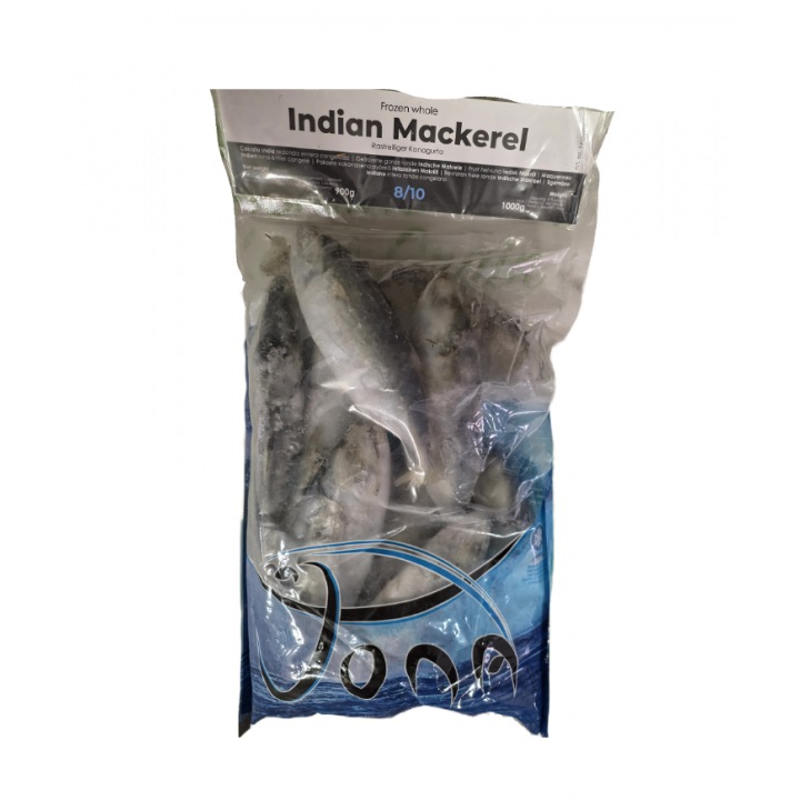 Indische Makrele 8-10 St. 900g TIEFKÜHL Jona Indian Mackerel ganze Fische