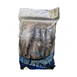 Round Scad Galunggong Runder Scad 10-12 St. 800g TIEFKÜHL Jona