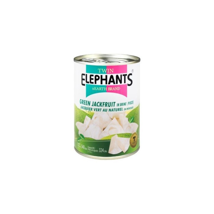 Jackfrucht in Wasser fleischersatz vegetarisch vegan grüne jackbaumfrucht 540g