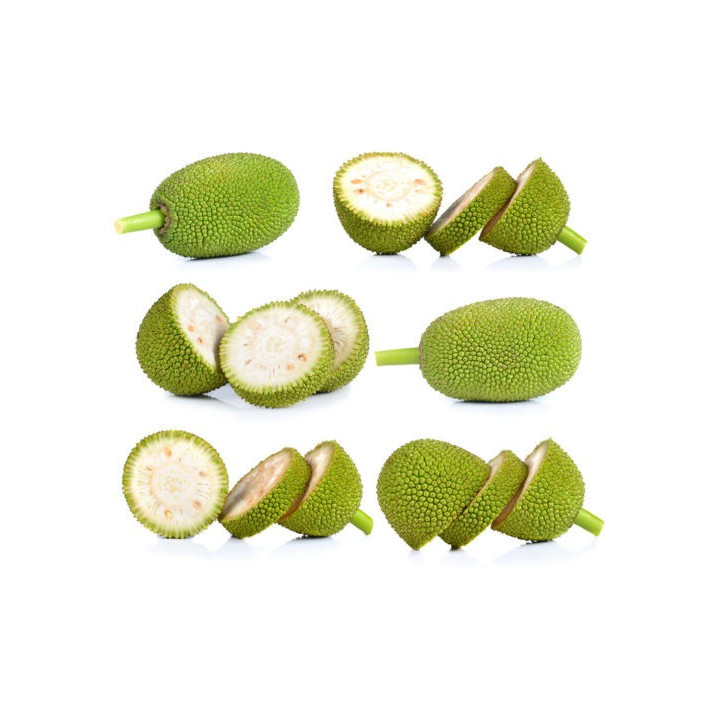 Jackfrucht in Wasser fleischersatz vegetarisch vegan grüne jackbaumfrucht 540g