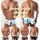 sexy Herren Hipster Short Boxershorts - 3 Farben in 3 Größen zur Wahl - Boxershorts, Slip