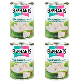 Jackfrucht in Wasser fleischersatz vegetarisch vegan grüne jackbaumfrucht 540g