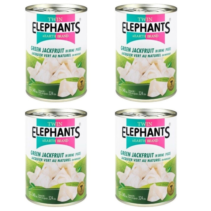 Jackfrucht in Wasser fleischersatz vegetarisch vegan grüne jackbaumfrucht 540g